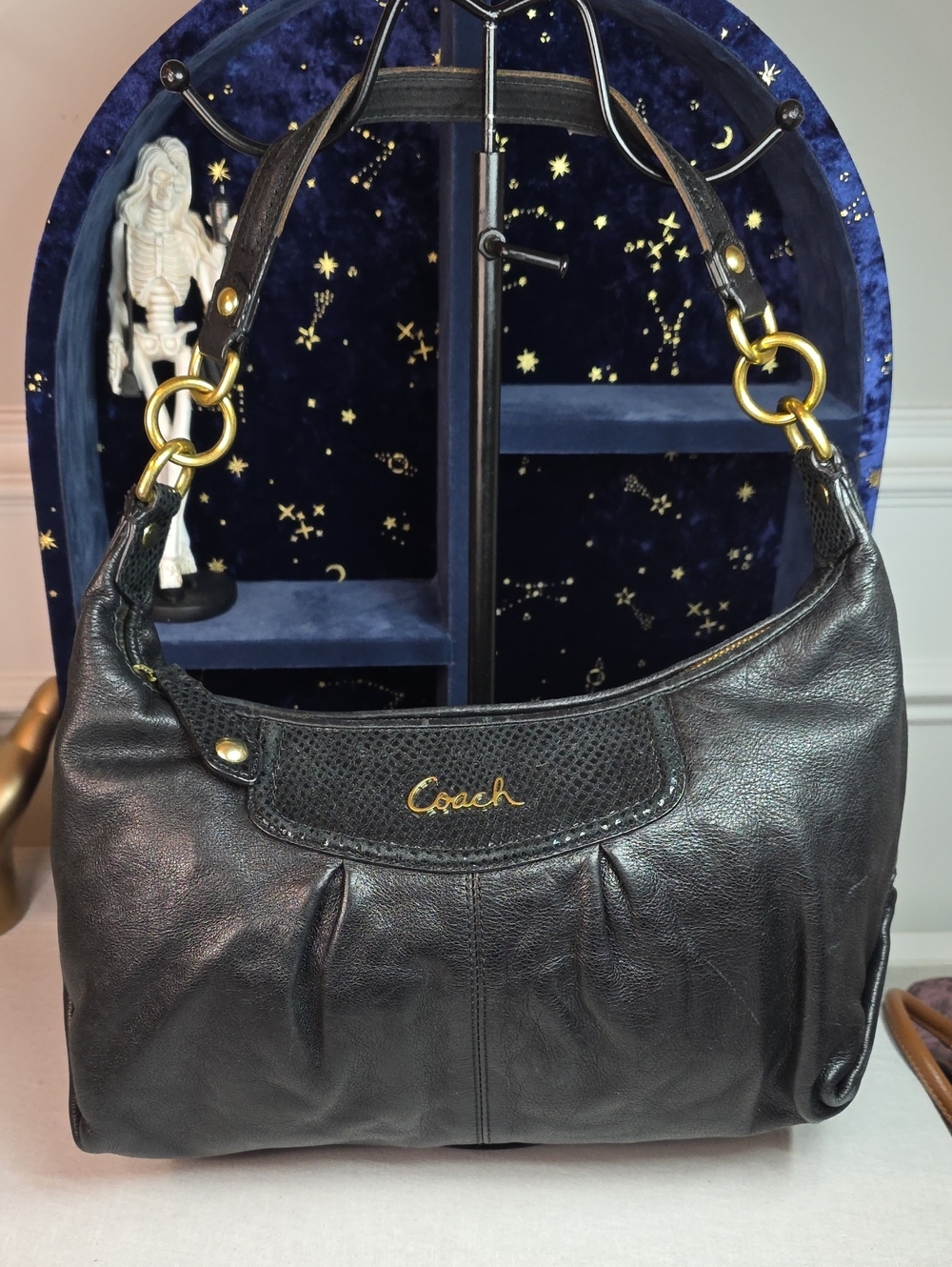 Coach Ashley Leather Hobo Bag With Snakeskin Accents